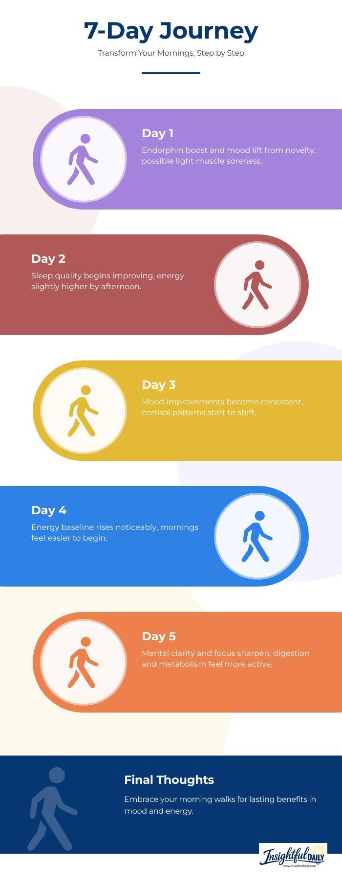 Day-by-day timeline infographic showing morning walk benefits over 7 days